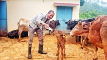 Badri cattle gets a biotech boost as OPU-IVF calf is born in Uttarakhand
